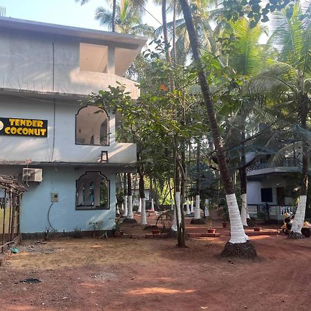 Tender Coconut Morjim Bagian luar foto