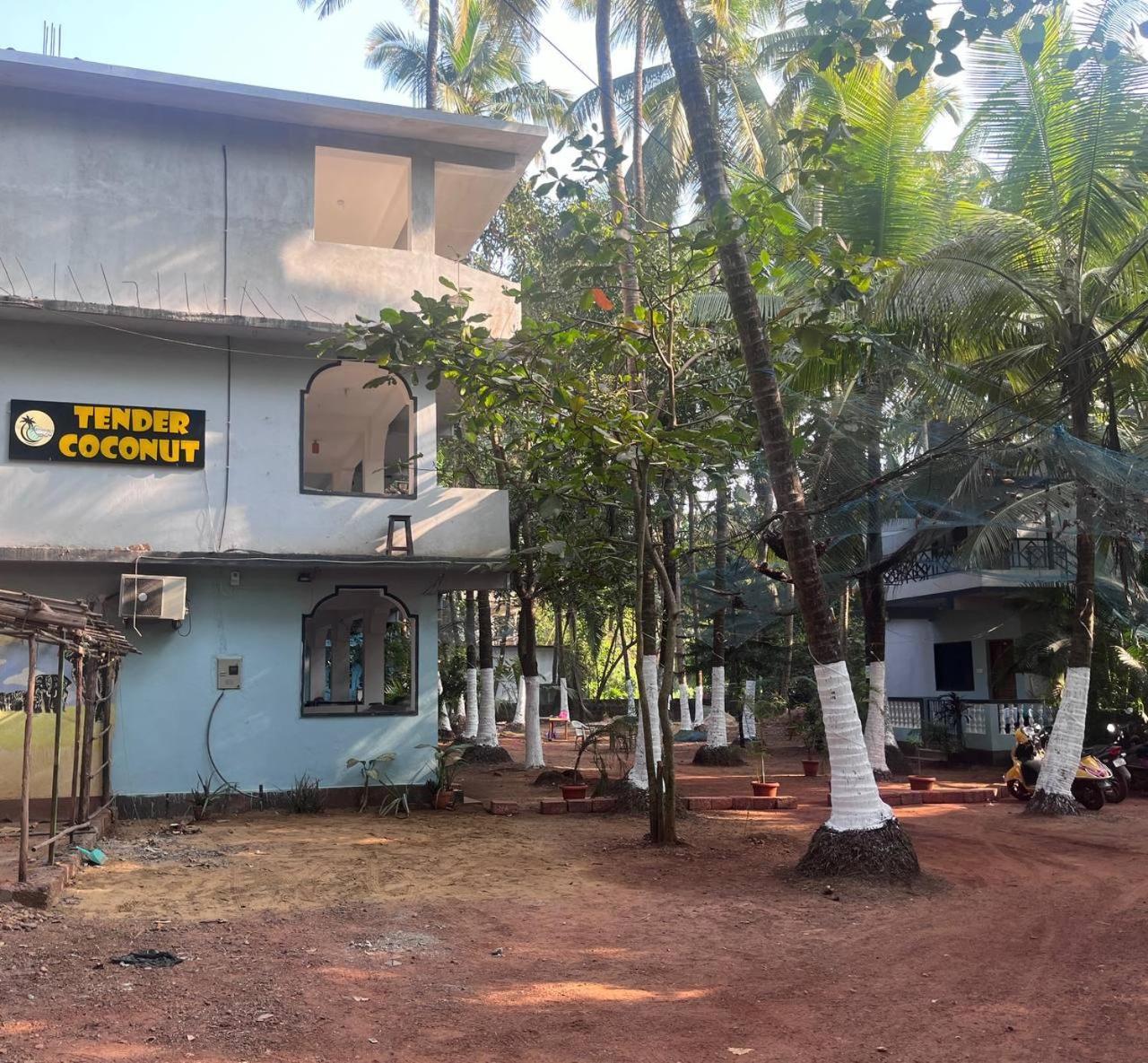 Tender Coconut Morjim Bagian luar foto